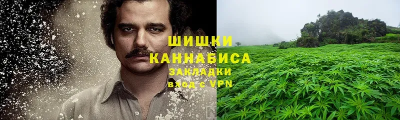 Бошки марихуана LSD WEED  наркошоп  Тавда 